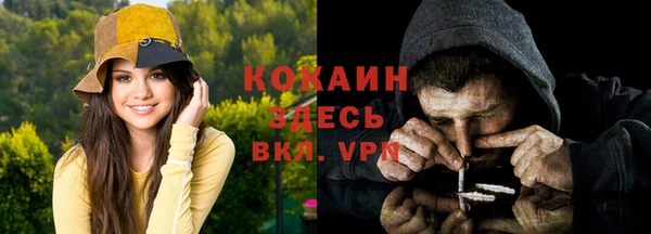 бошки Дмитров