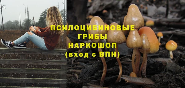 дмт Грязовец