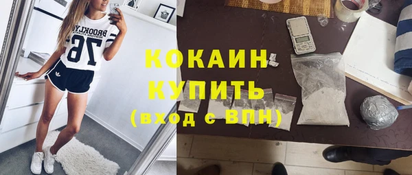 не бодяженный Дмитриев