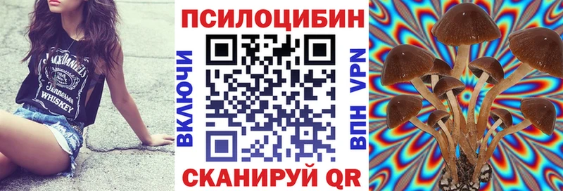 как найти наркотики  МЕГА ССЫЛКА  darknet телеграм  Зарайск  Галлюциногенные грибы мухоморы 